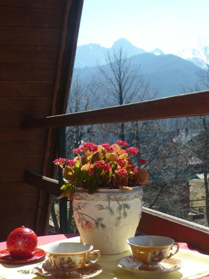 Pokoje Goscinne W Gorach Kościelisko Dış mekan fotoğraf