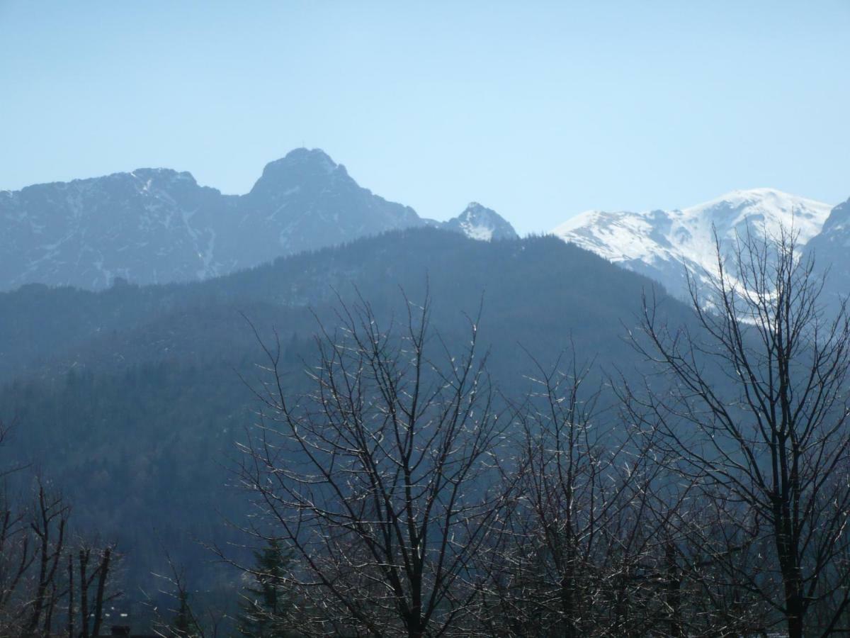 Pokoje Goscinne W Gorach Kościelisko Dış mekan fotoğraf